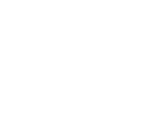 Isdova Inc Logo